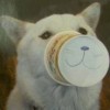 @tadzik@social.tadzik.net avatar