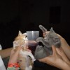 @zazaserty@discuss.tchncs.de avatar