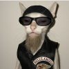@jac_98_jawn@mastodon.social avatar