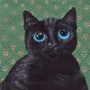 @Kaia@lemmy.world avatar