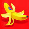 @MajikalMonkey2000@kbin.social avatar