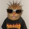 @Launch@piefed.social avatar