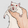 @rad@todon.eu avatar