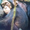 @Anna_G_H@mastodon.social avatar