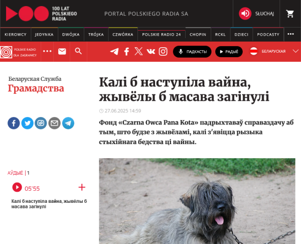 Na zdjęciu jest kosmaty pies uwiązany na łańcuchu.