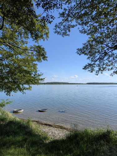 Brzeg jeziora, spokojna tafla. Błękitne niebo, liście drzew po bokach.