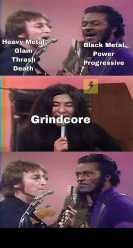 Mem w postaci trzech scen. W pierwszej John Lennon i bodajże Chuck Berry śpiewają, gdzie Lennon jest podpisany jako "heavy metal, glam, thrash, death", a Berry jako "black metal, power, progressive". Następnie kadr pokazuje śpiewającą prawdopodobnie Yoko Ono jako "grindcore". Na trzecim kadrze Lennon i Berry mają nietęgie miny stojąc przy mikrofonie.