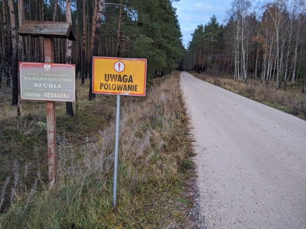 Szutrowa droga przez las, a po jej lewej stronie stoją dwa znaki. Na pierwszym napis „Lasy Państwowe. Nadleśnictwo Szubin. Leśnictwo Dębogóra”, na drugim „Uwaga polowanie”.