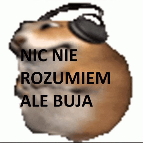 Pixel art z chomikiem ze słuchawkami na uszach, który mówi "nic nie rozumiem, ale buja"