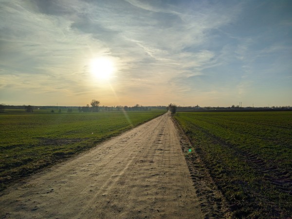 Skąpana w słońcu szutrowa droga przez zielone pola ozimego zboża.