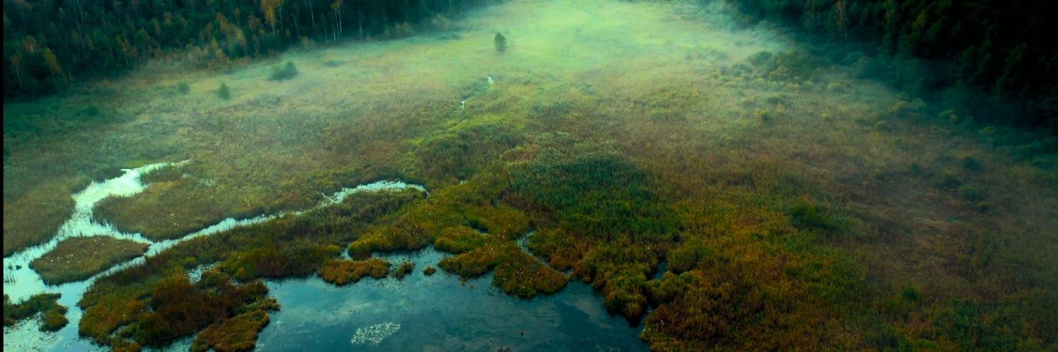 @zhuzi66mita@mastodon.social