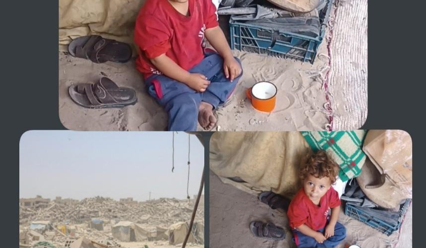 @sallyyii1_5566@mastodon.social