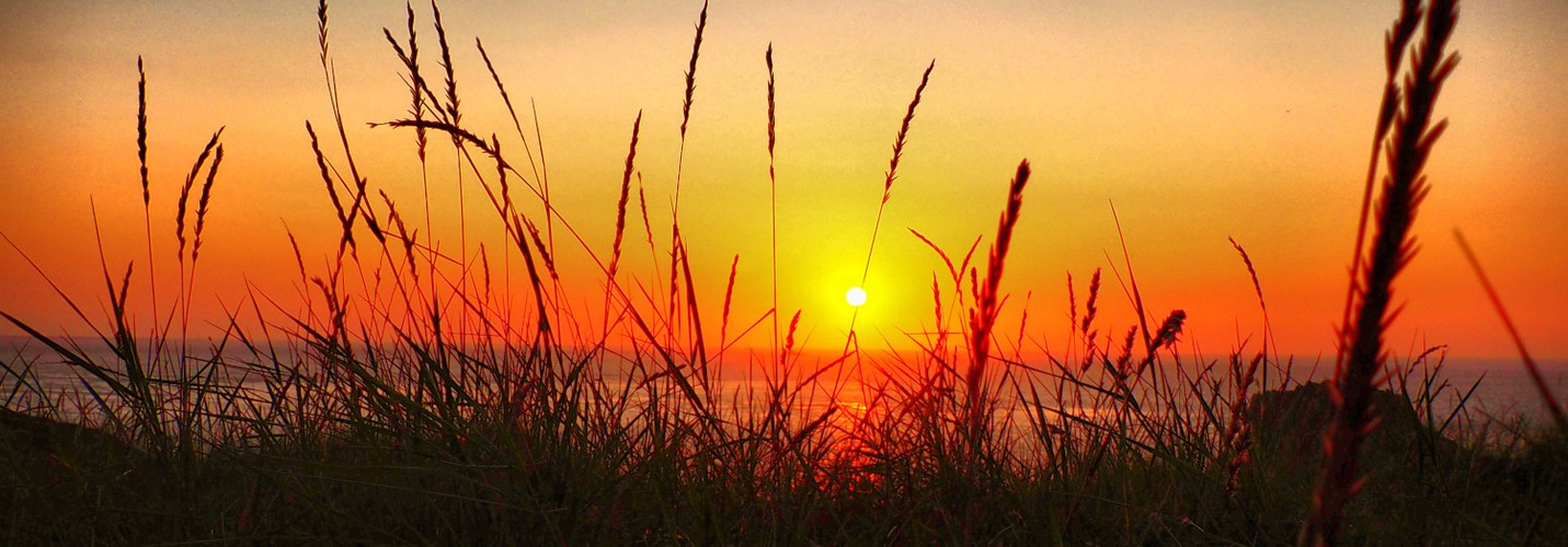 @infoleck@kirche.social