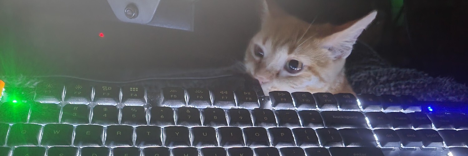 @notcatsalad@infosec.exchange