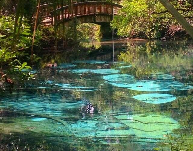 @JohnScotese@mastodon.social