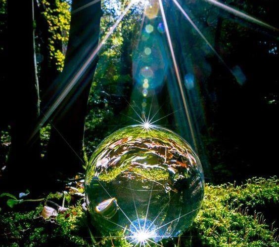 @tgartzen@mastodon.social