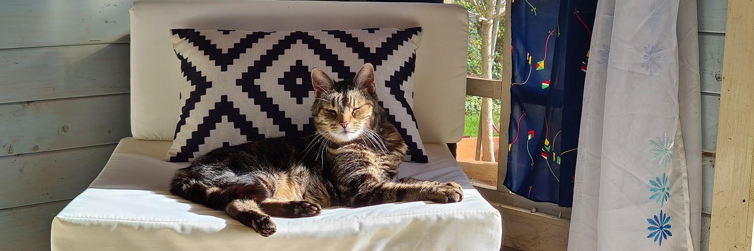 @Paul_Jackson@mastodon.social