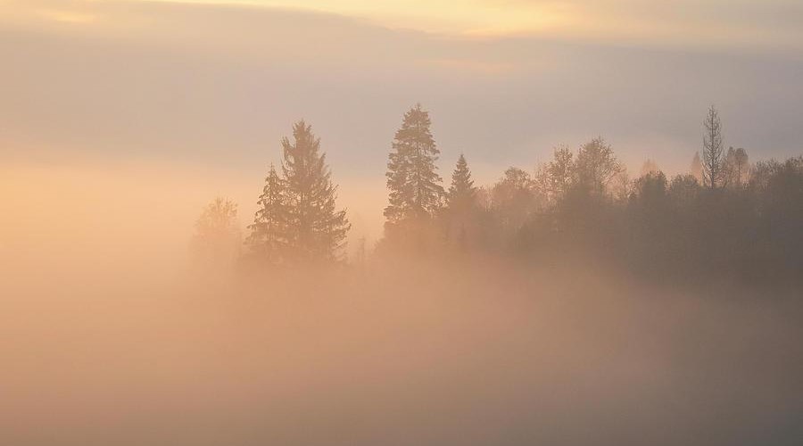 @lostautisoul@mastodon.social