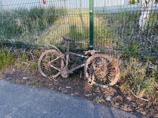 @jedrzejdec@mastodon.social