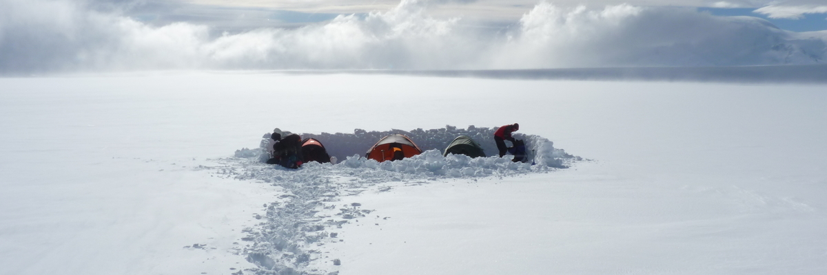 @elperronegro@shmg.online