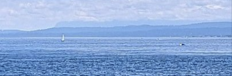 @Novela@theforkiverse.com