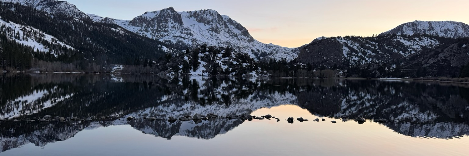 @caroMP@mastodon.social