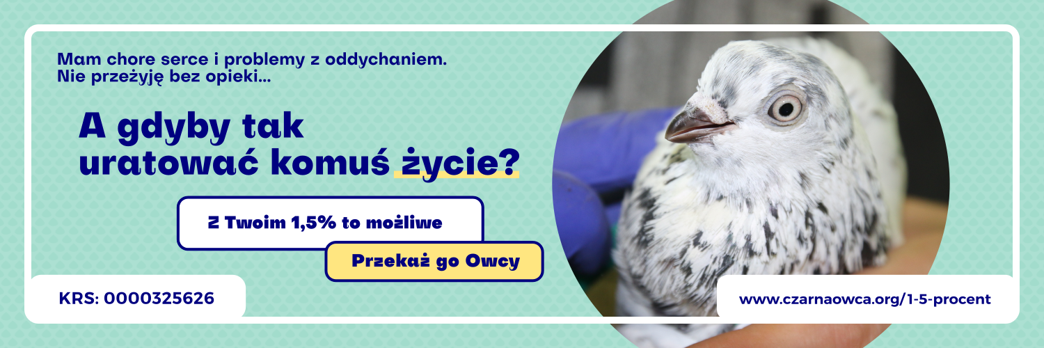 @czarnaowcapanakota@mastodon.com.pl