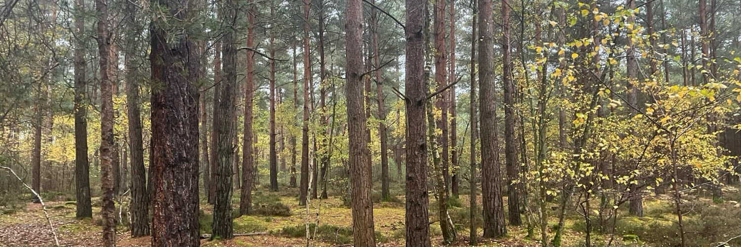 @peterfullagar@mastodon.social