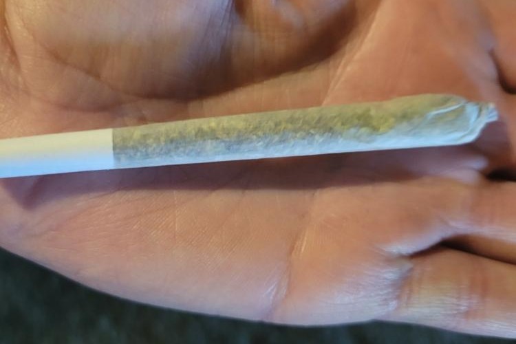 @BobWick@mastodon.social