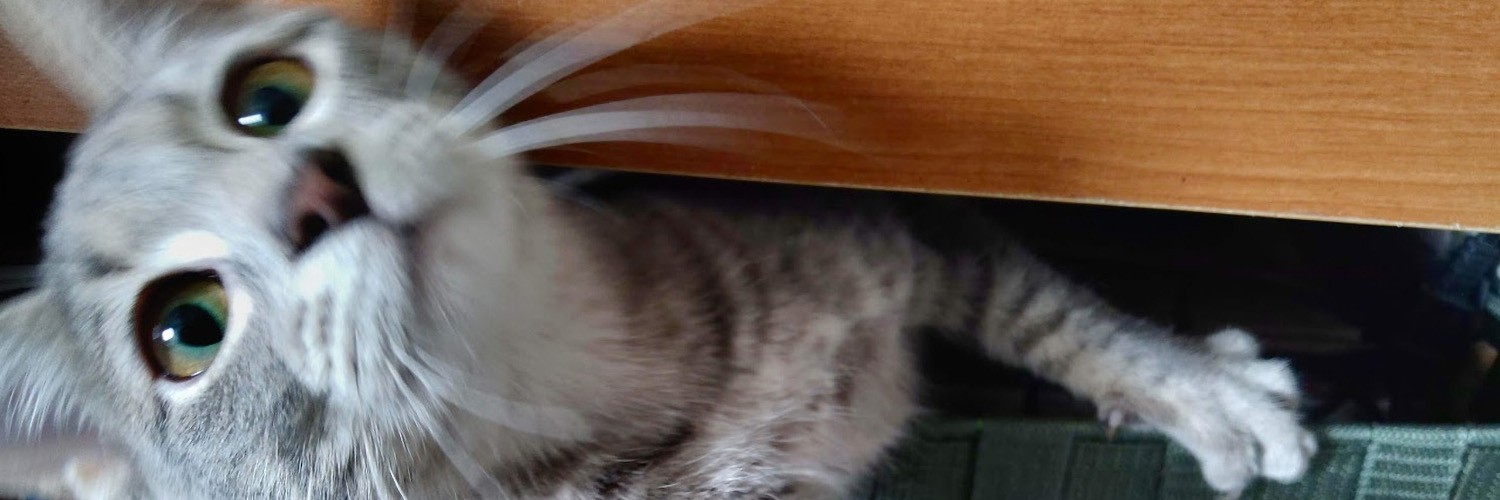 @belghast@gamepad.club