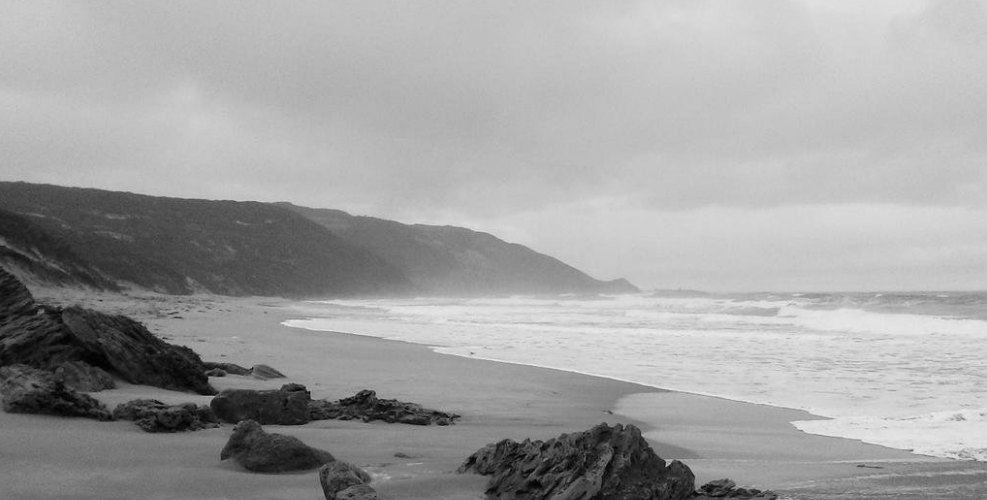 @asRomeBurns1979@lemmy.world