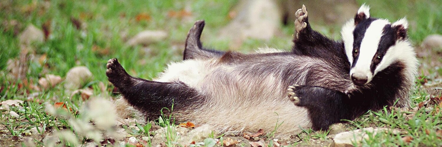 @tassoman@orwell.fun