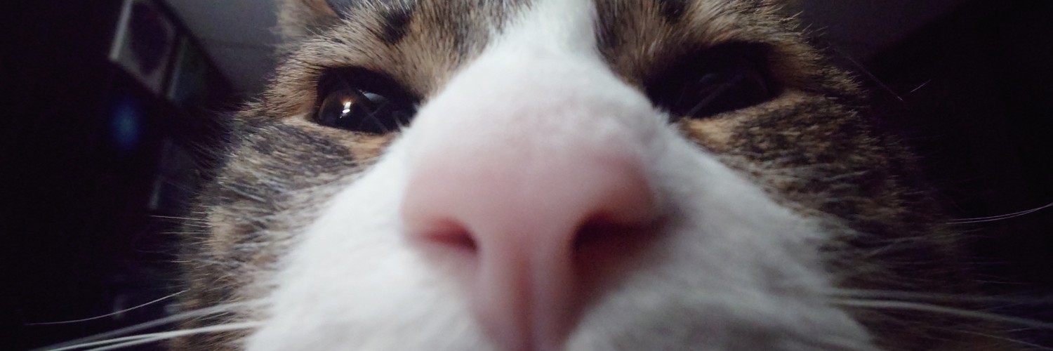 @_dystopian_vibecheck@leminal.space