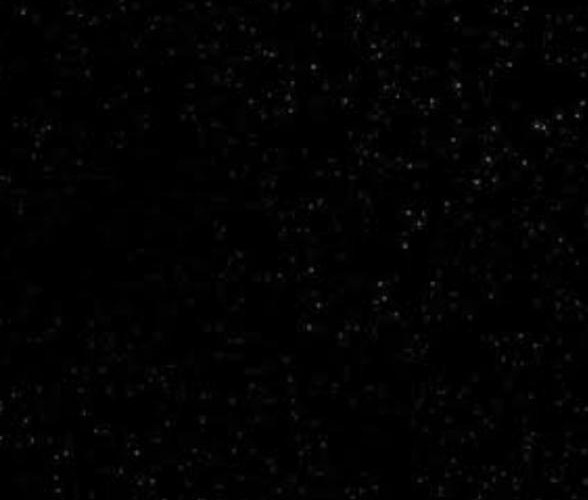 @annita000@mastodon.social