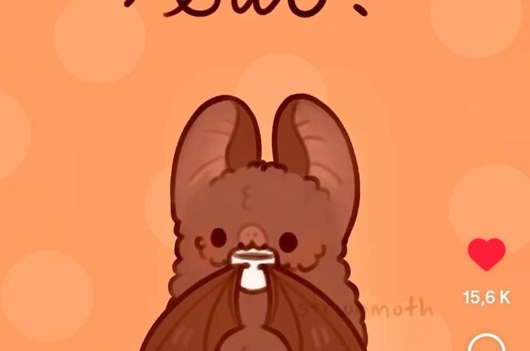 @Octobeautumnandravens@mastodon.social