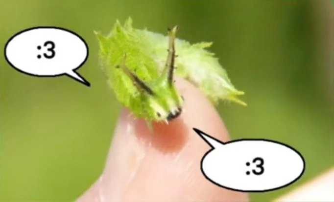 @CleoCommunist@lemmy.ml