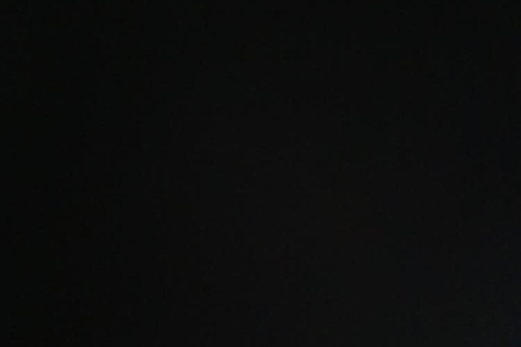 @bungaakembangg@mastodon.social