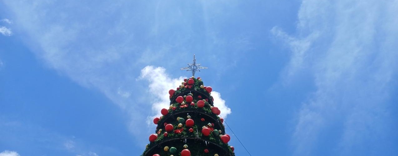 @giooNFT@mastodon.social