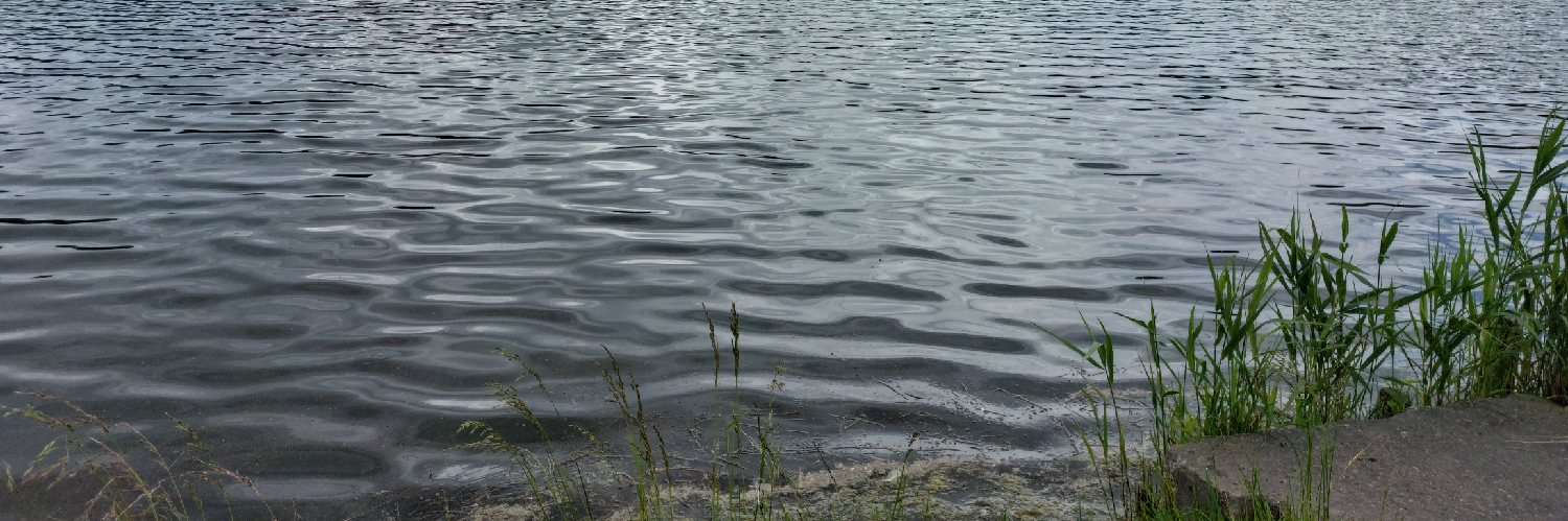 @speaktrap@mastodon.com.pl