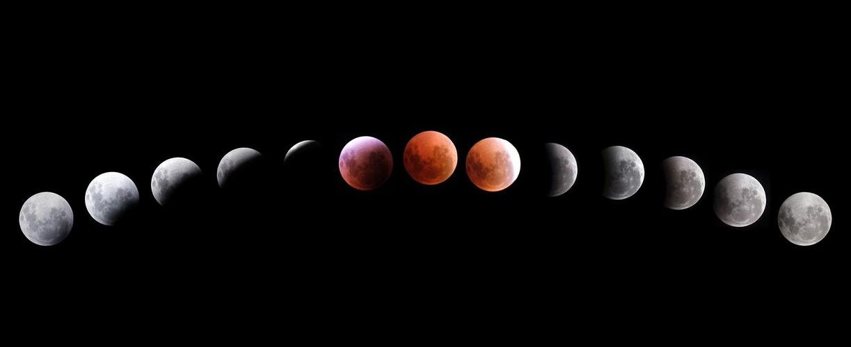 @cololeonardo509@mastodon.social