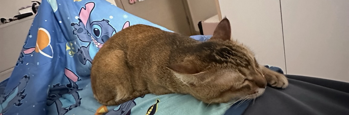 @chilong@mastodon.social