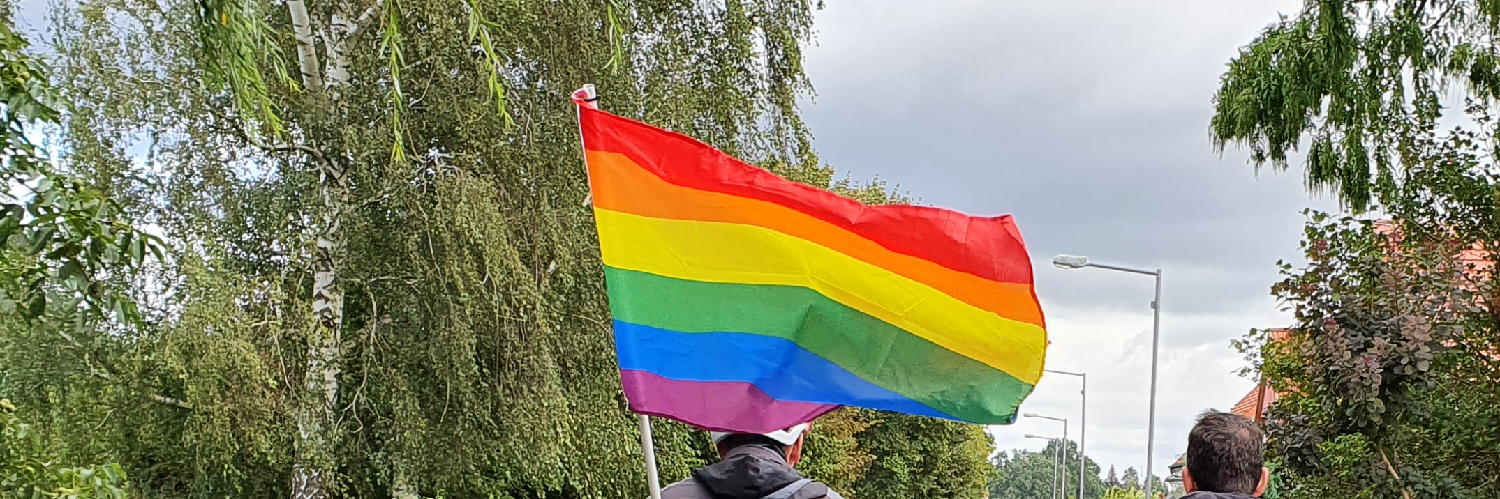 @berufsdemonstrant@social.tchncs.de