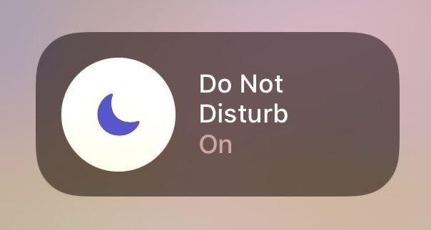 @prettyintheory@mastodon.social