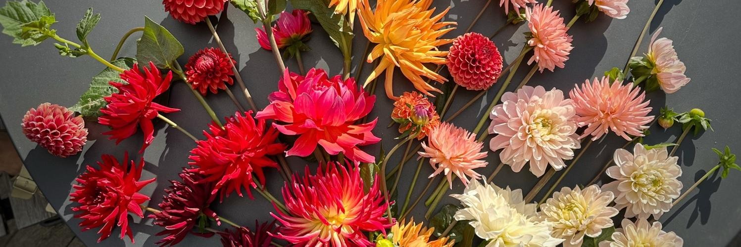 @Karolina@mastodonsweden.se