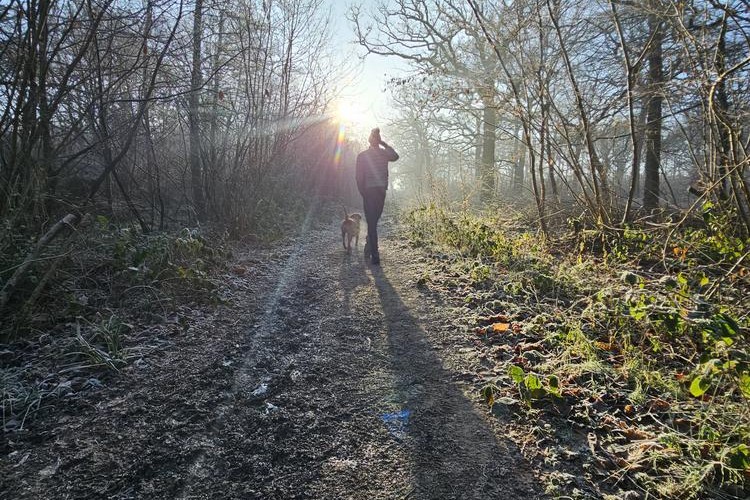 @odmac@mastodon.social