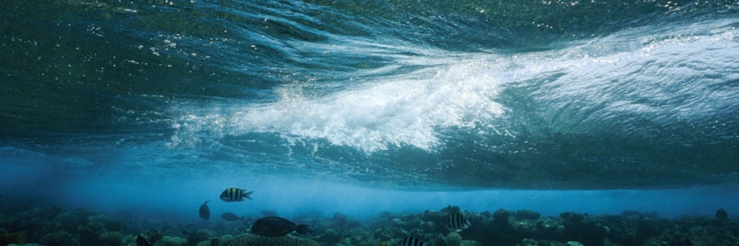 @OutwateredFish@lemmy.ca