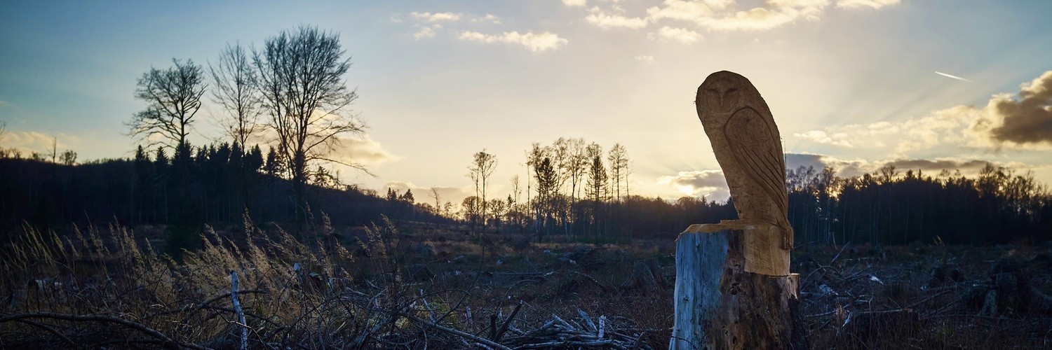 @stephan@sonomu.club