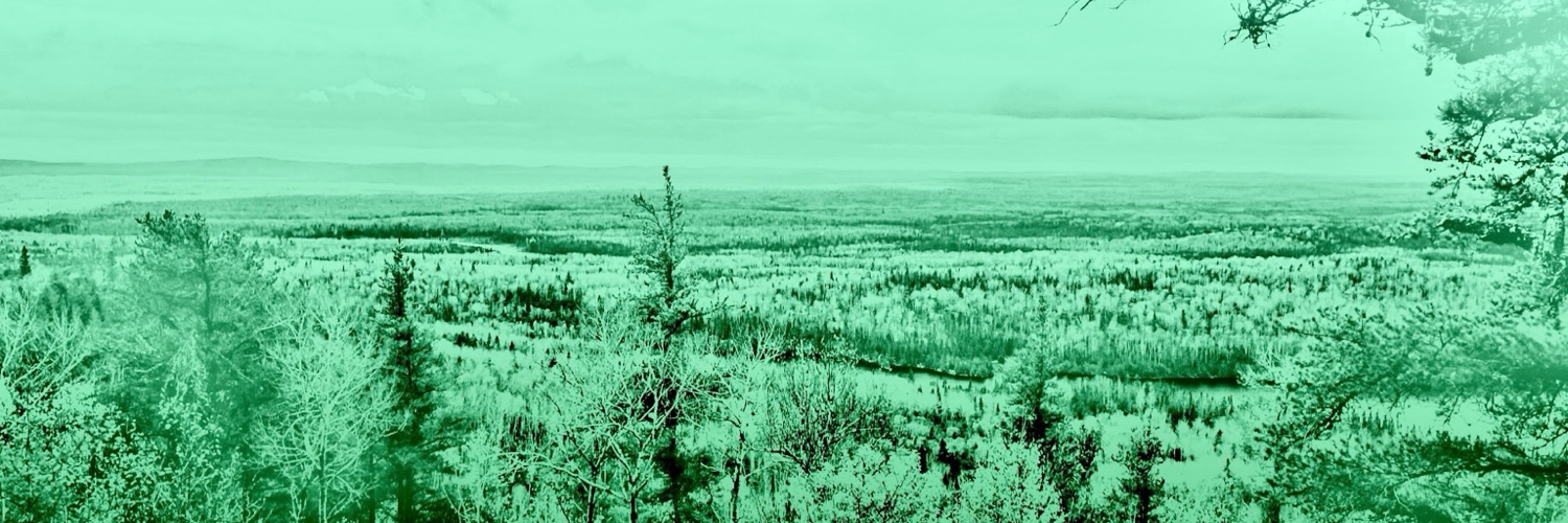 @arenneall@mastodon.social