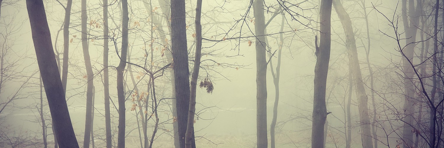 @LifeLikeLady@lemmy.world