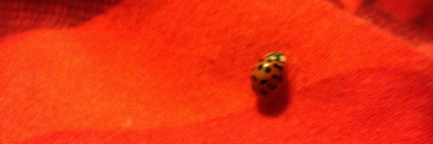 @politicdormouse@mastodon.online